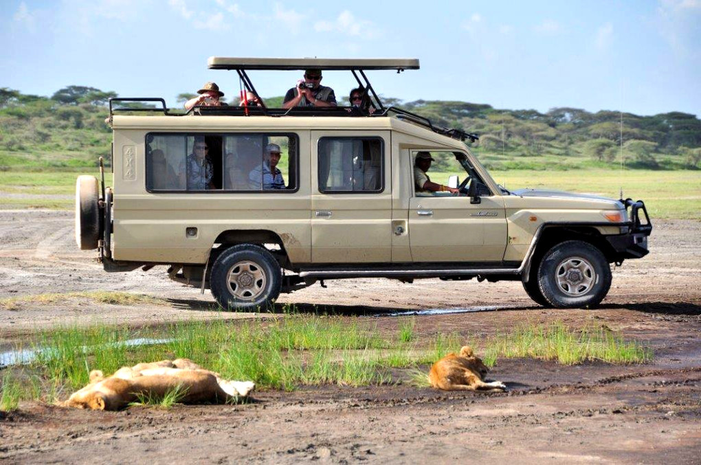 Join Group Safari 4x4 Land Cruiser on the savanna